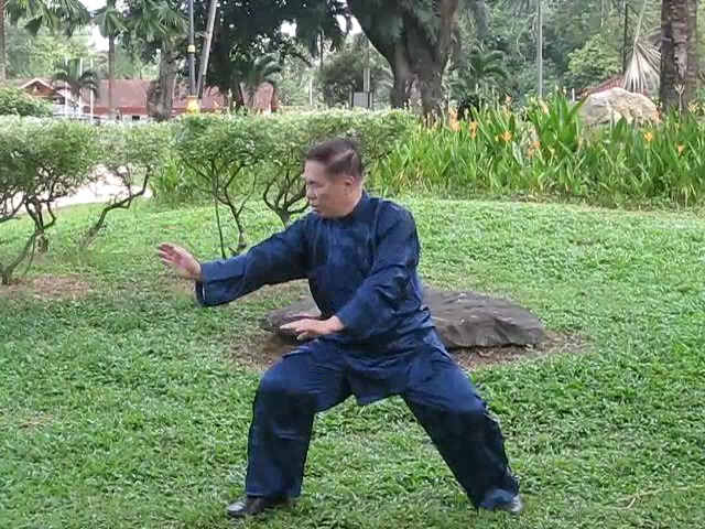 Wu Yu Xiang Style Taijiquan